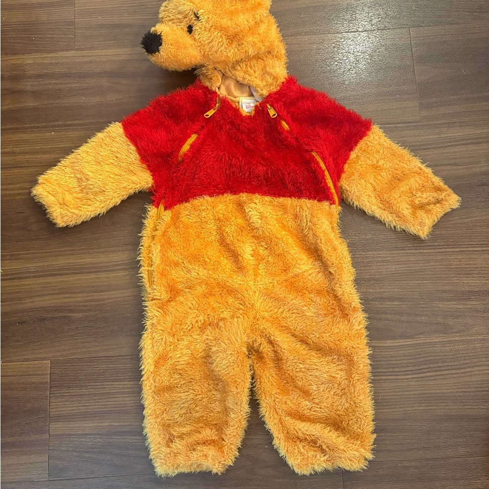 Disney Winnie the Pooh Costume